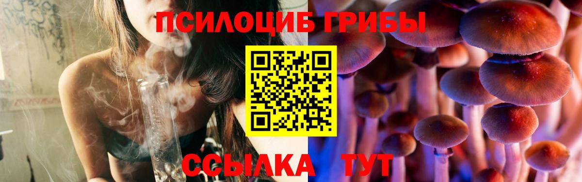 Галлюциногенные грибы мицелий  Вход с VPN  Камень-на-Оби 