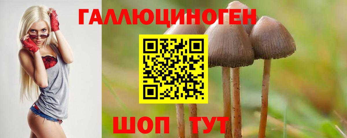 Псилоцибиновые грибы мицелий Камень-на-Оби